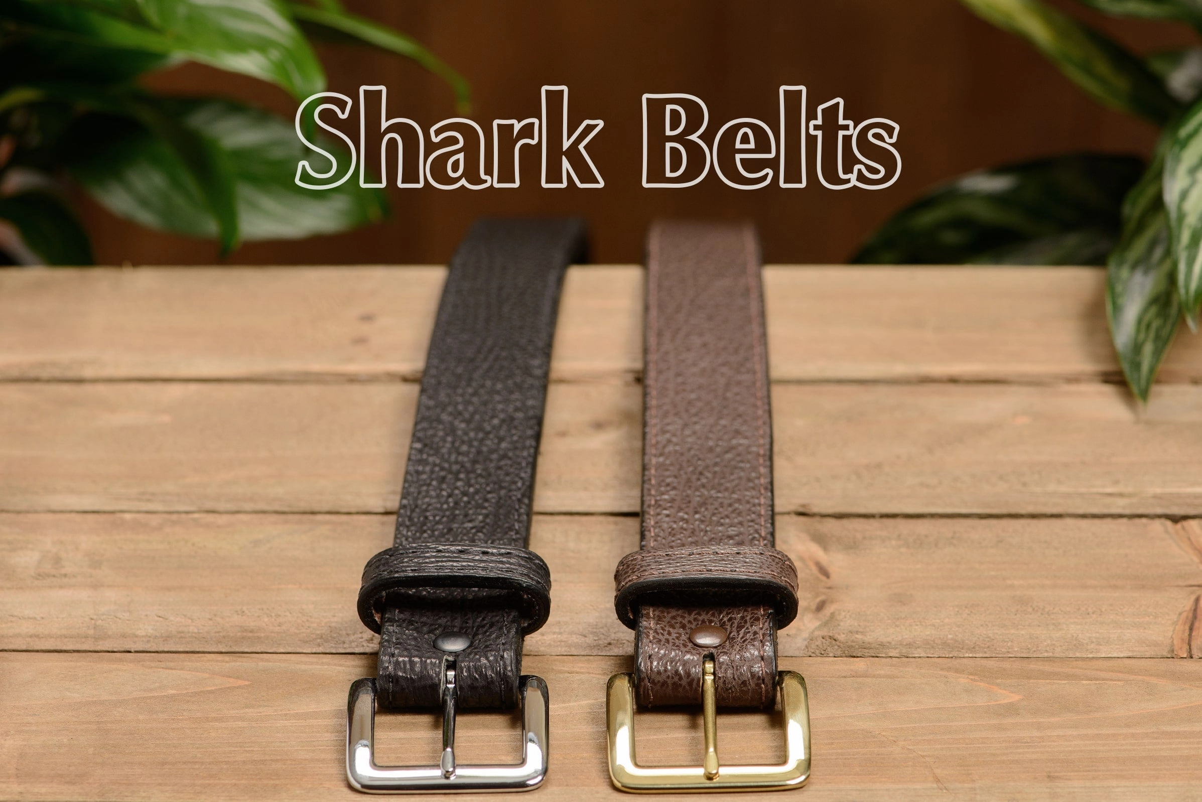 Brown Shark Money Belt With 25" Zipper 1.50" Wide