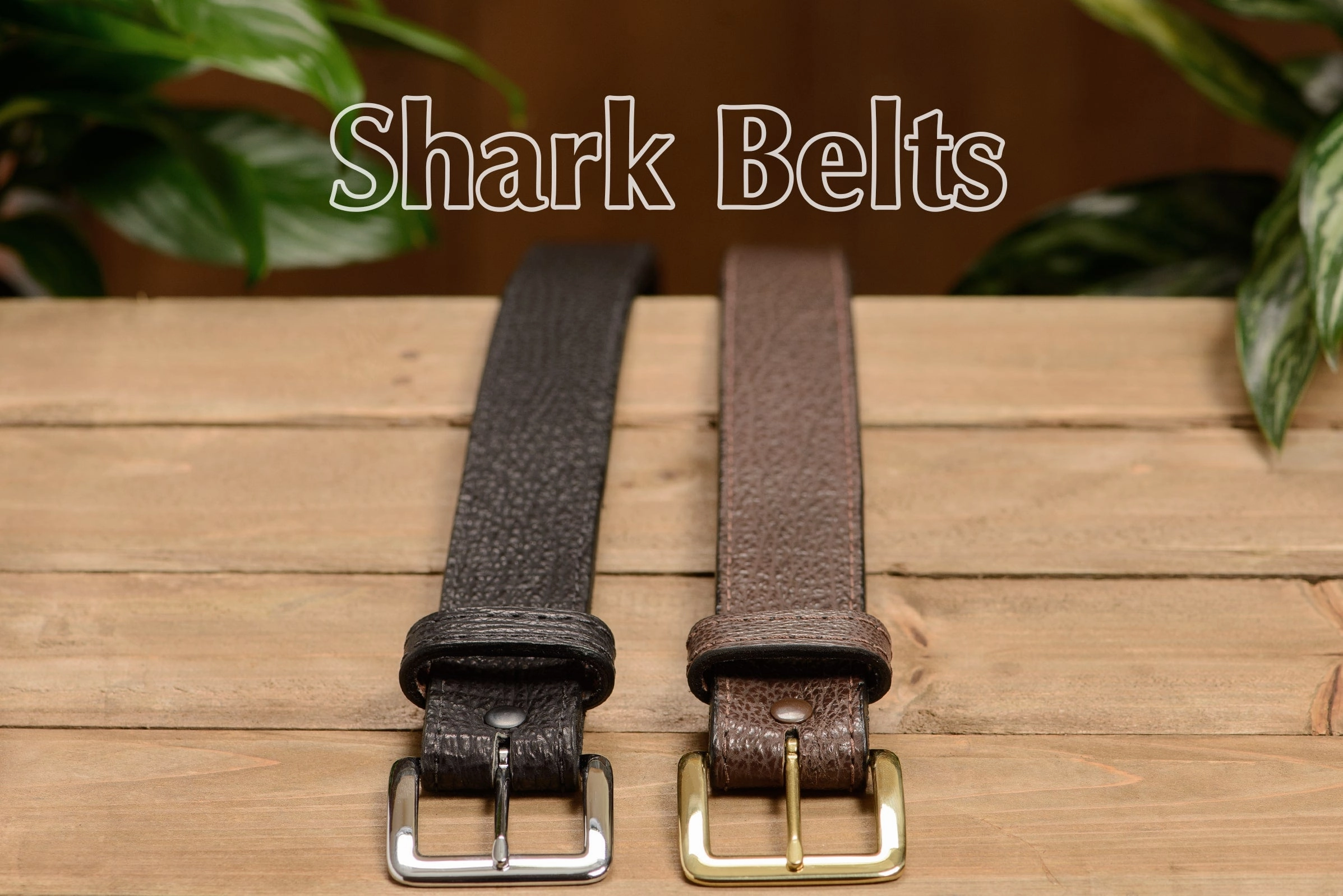 Brown Shark Money Belt With 25" Zipper 1.50" Wide