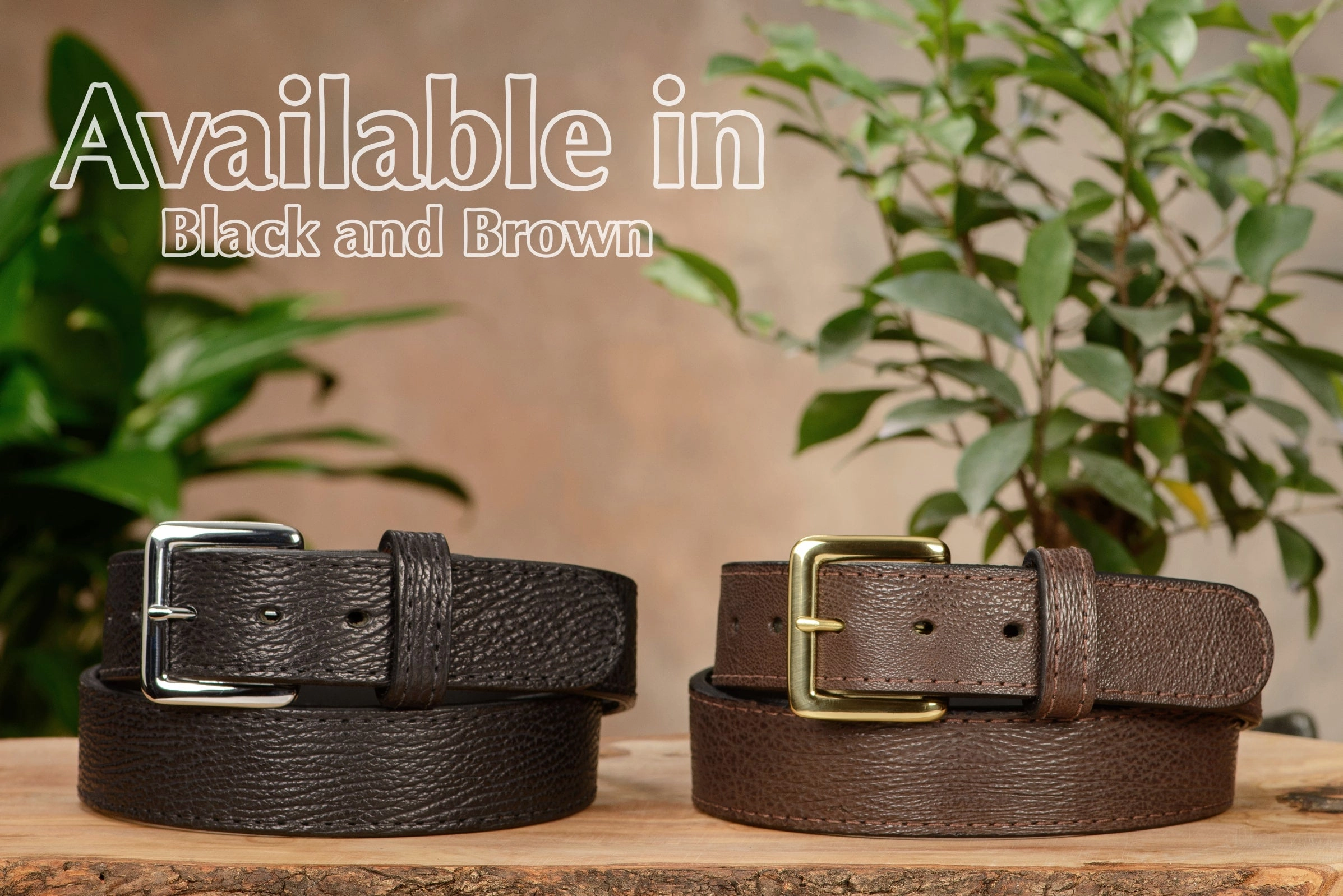 Brown Shark Money Belt With 25" Zipper 1.50" Wide