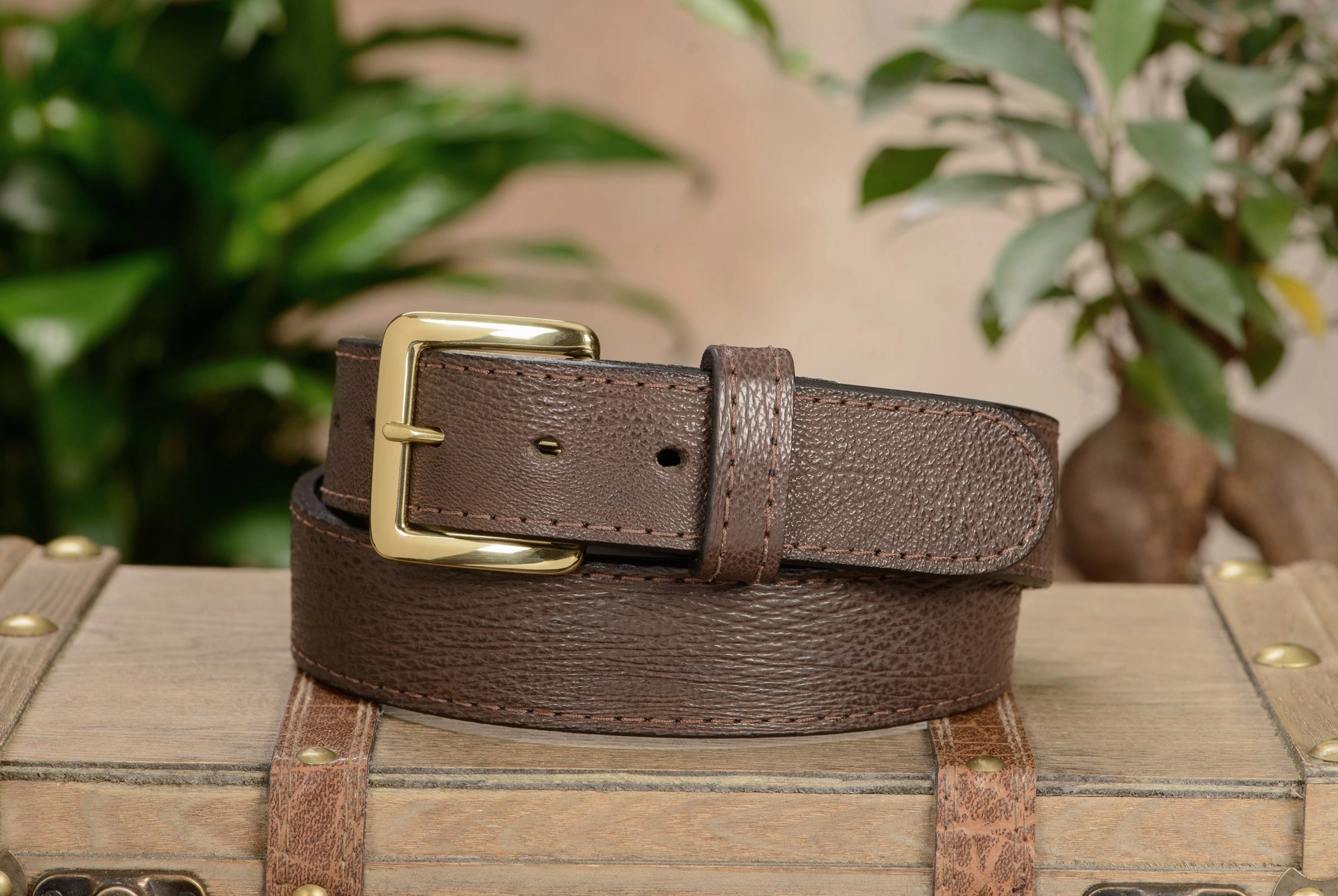 Brown Shark Money Belt With 25" Zipper 1.50" Wide