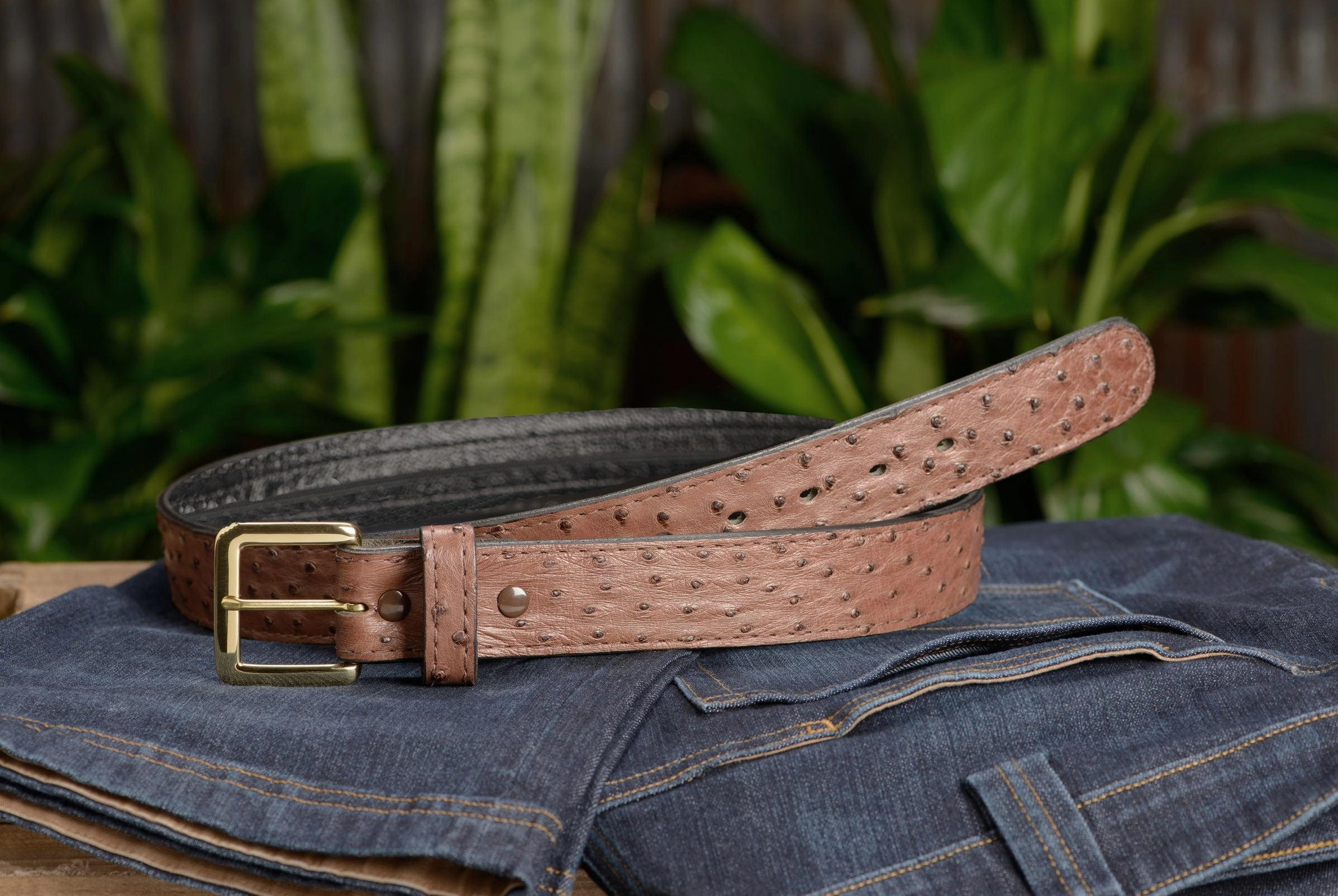 Brown South African Ostrich Skin Money Belt With 25" Zipper 1.50" Wide