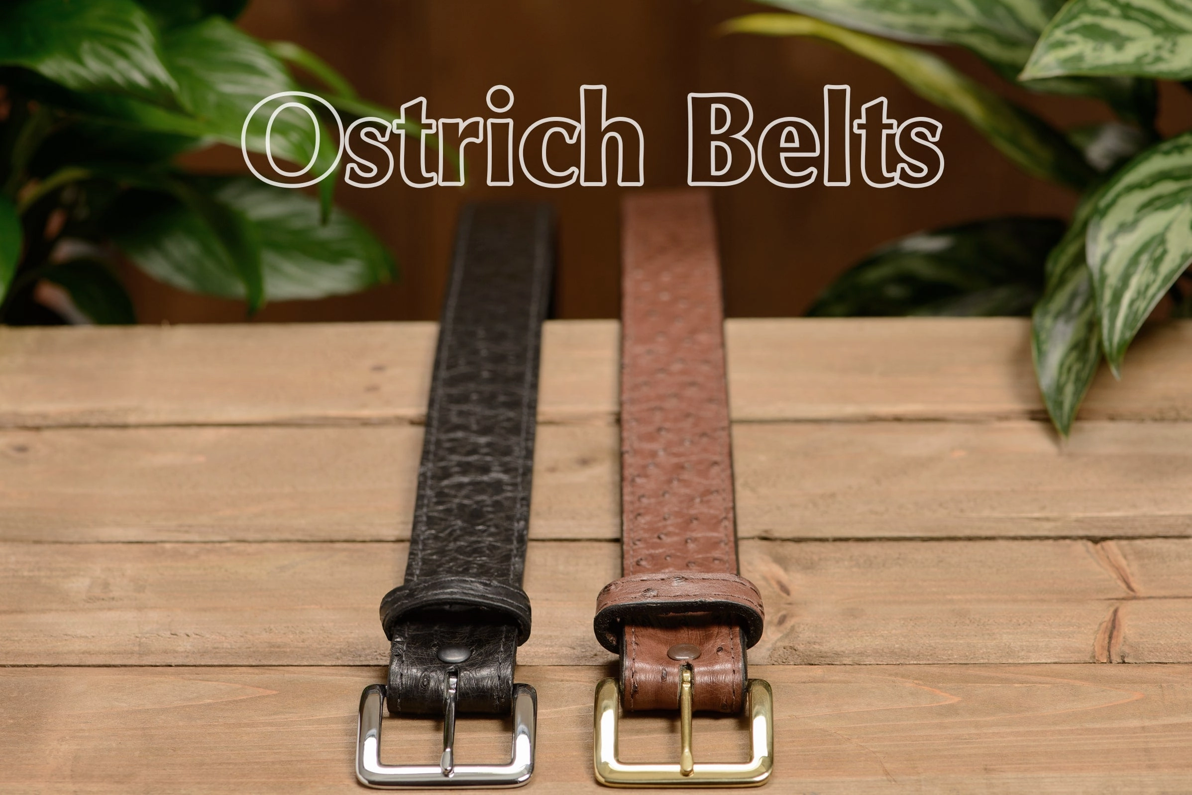 Brown South African Ostrich Skin Money Belt With 25" Zipper 1.50" Wide