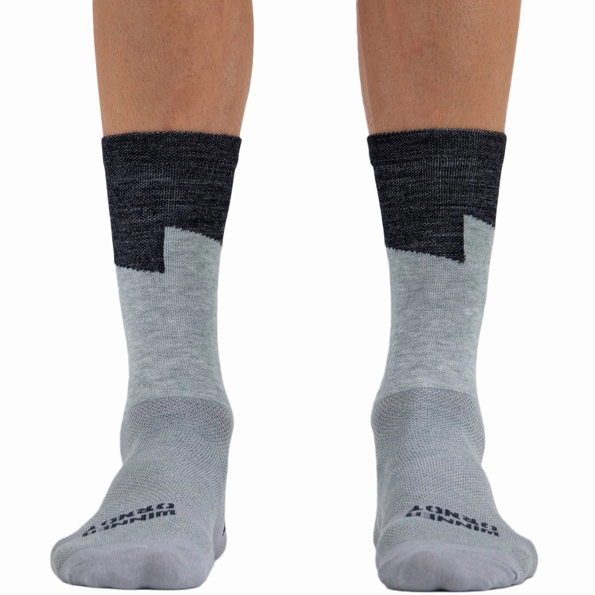 Coastal Bolt Merino