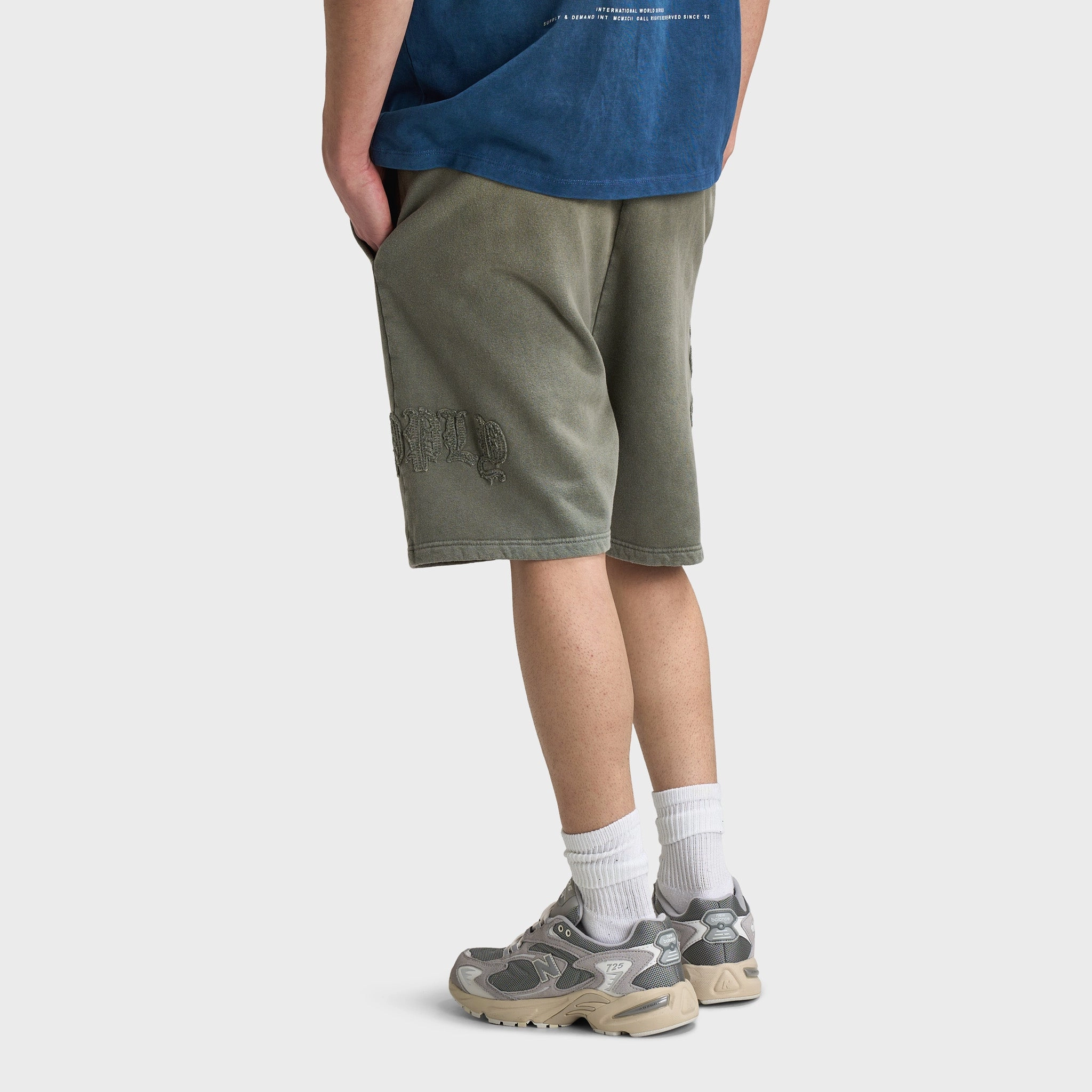 Supply & Demand Aydar Shorts / Washed Ivy Green